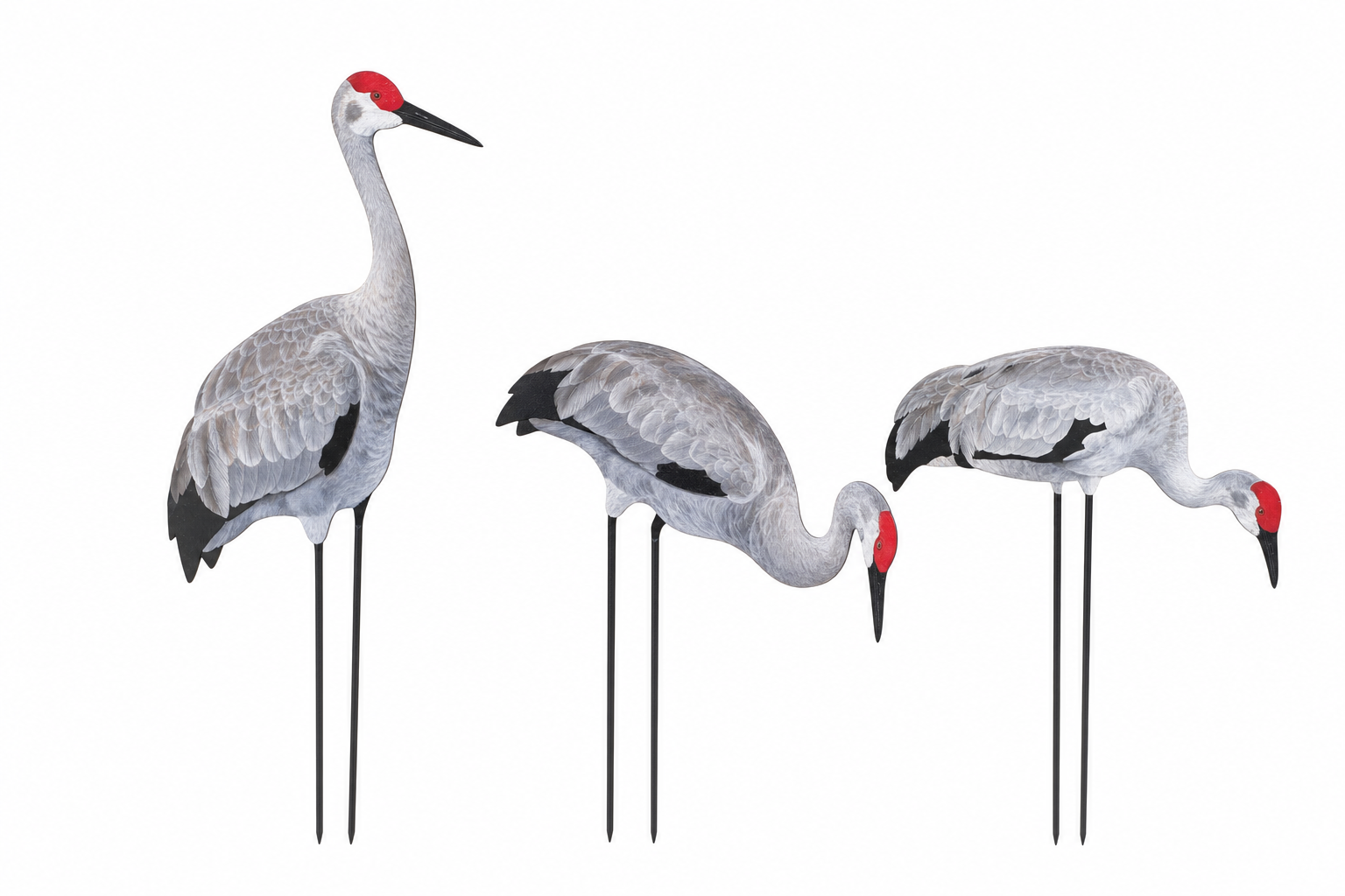 The Crane Call Decoys 5